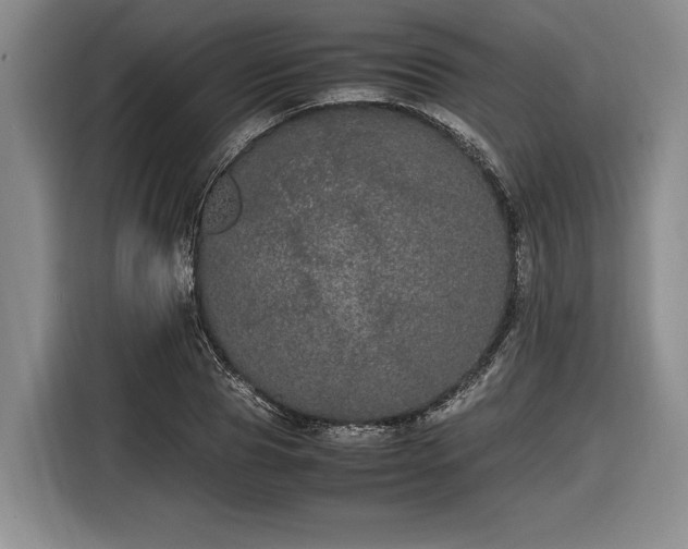 X0000116560929200912171406