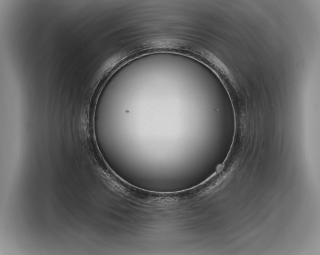 X0000116560930200912171406