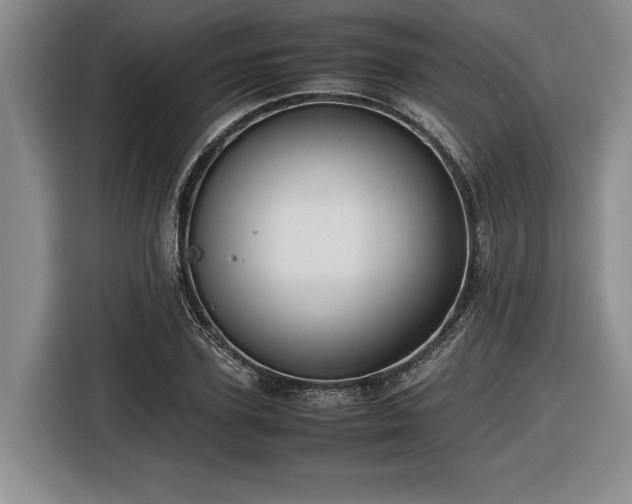 X0000116560931200912171407