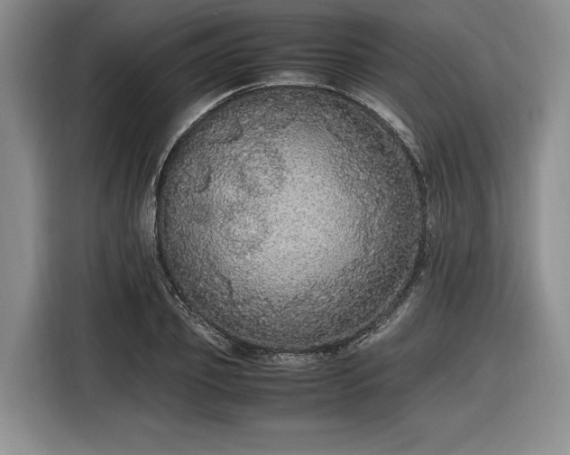 X0000116560933200912171407