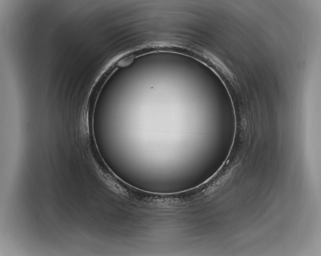 X0000116560934200912171407