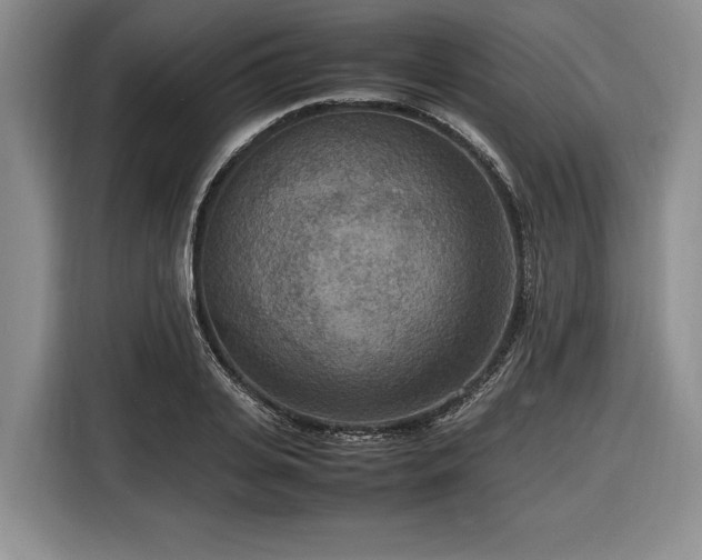 X0000116560935200912171407