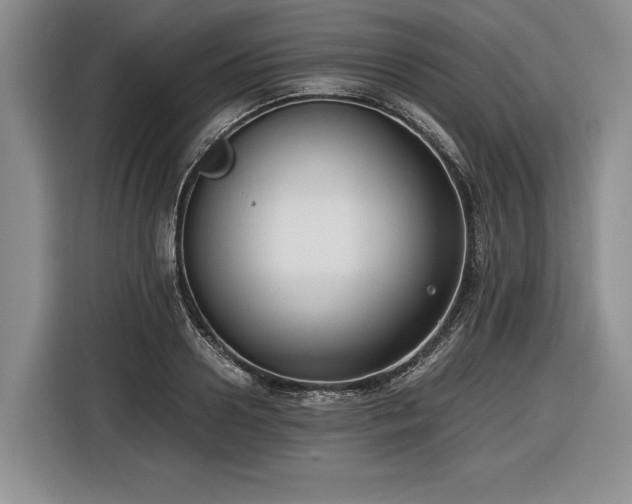 X0000116560938200912171407