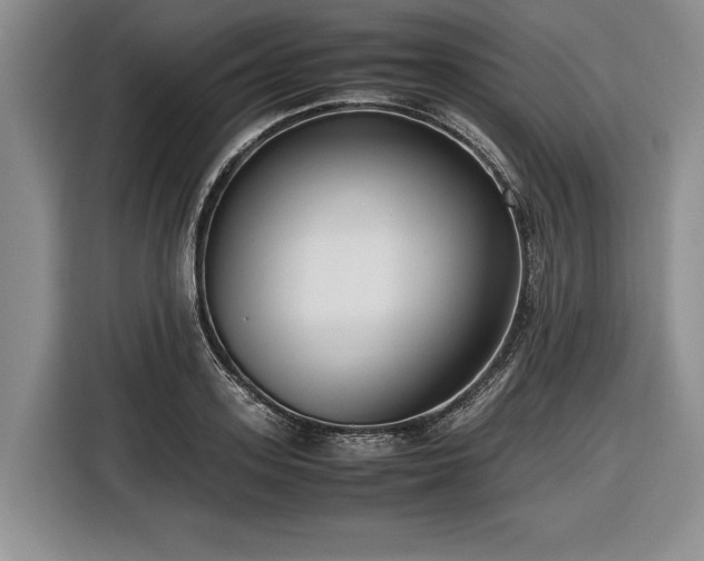 X0000116560939200912171407