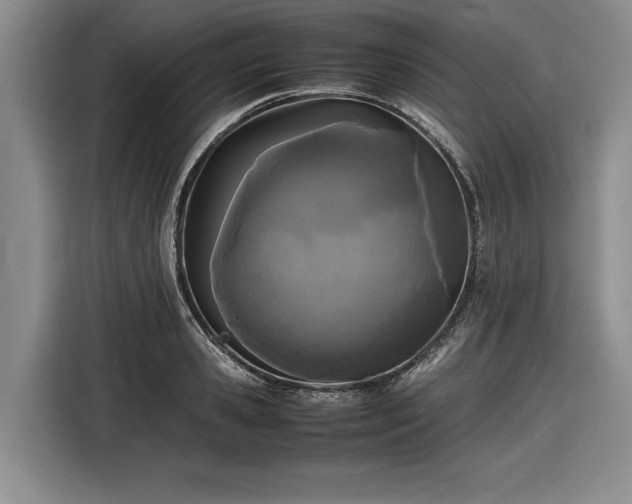 X0000116560941200912171407