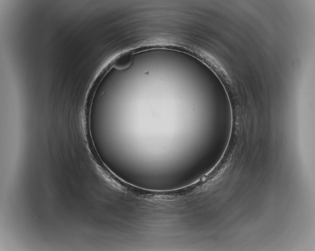 X0000116560942200912171407