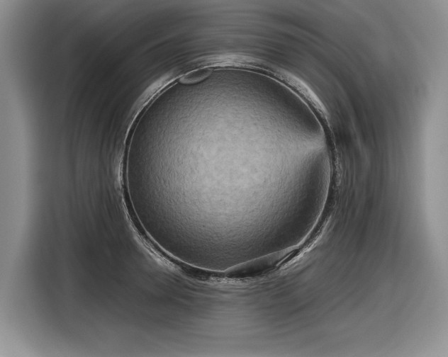 X0000116560946200912171407