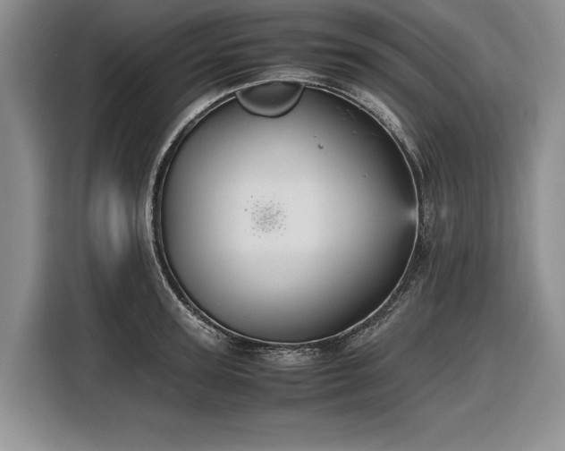 X0000116560947200912171407