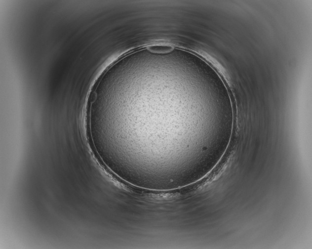 X0000116560949200912171407