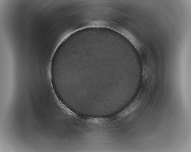 X0000116560950200912171407