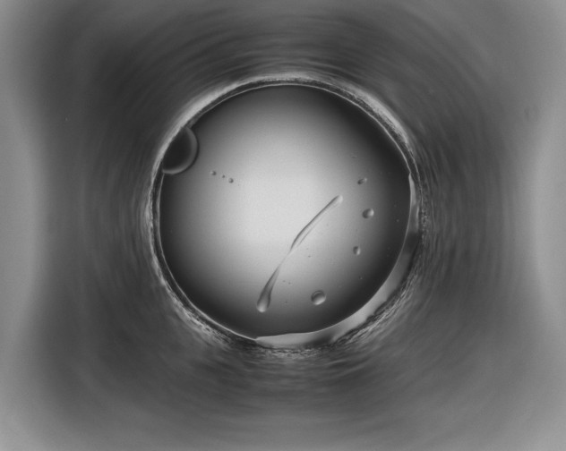 X0000116560951200912171407