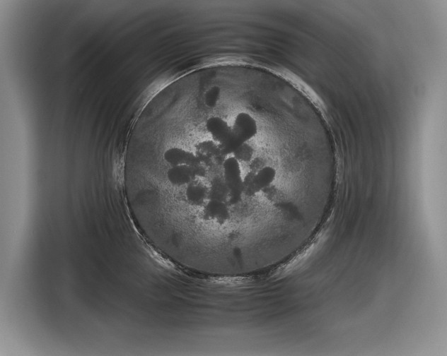 X0000116560953200912171407