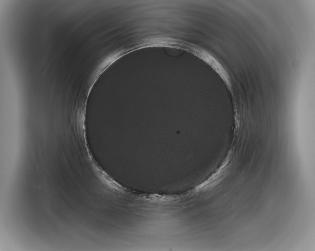 X0000116560954200912171407