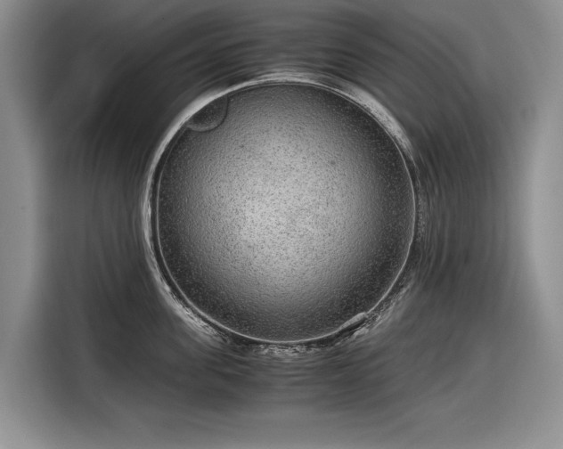 X0000116560955200912171407