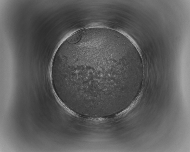 X0000116560957200912171407