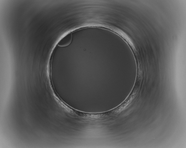 X0000116560958200912171407