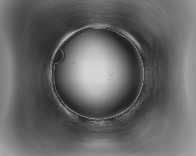 X0000116560959200912171407