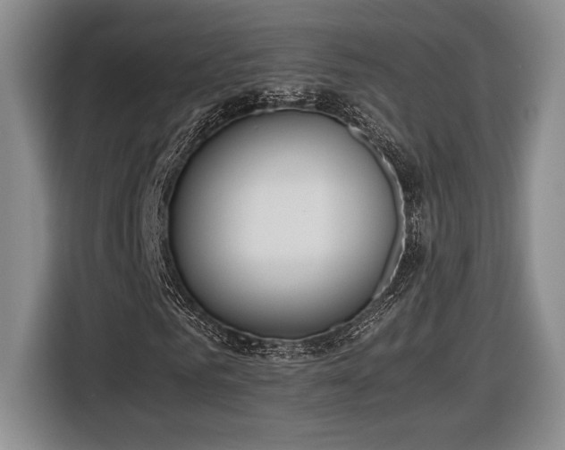 X0000116560961200912171406