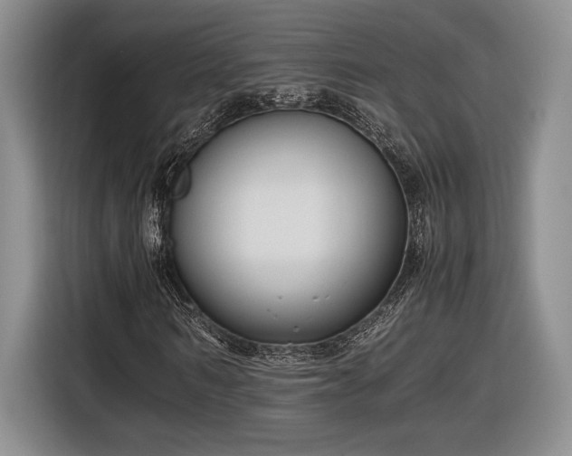 X0000116560962200912171406