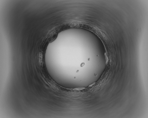 X0000116560964200912171406