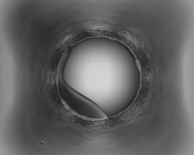 X0000116560965200912171406