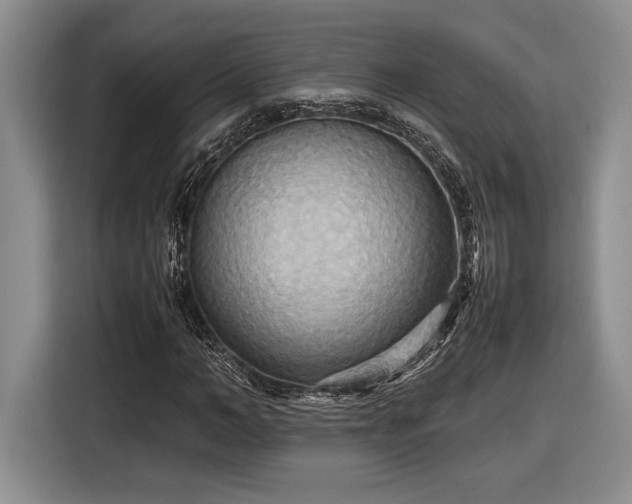 X0000116560966200912171406