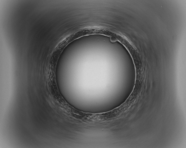 X0000116560967200912171406