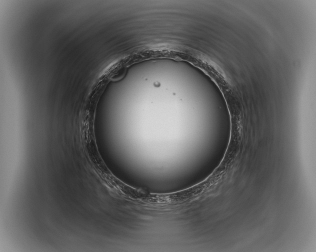 X0000116560968200912171406