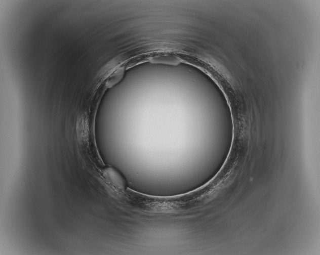 X0000116560969200912171406