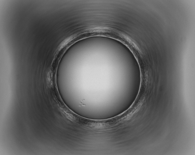 X0000116560970200912171406