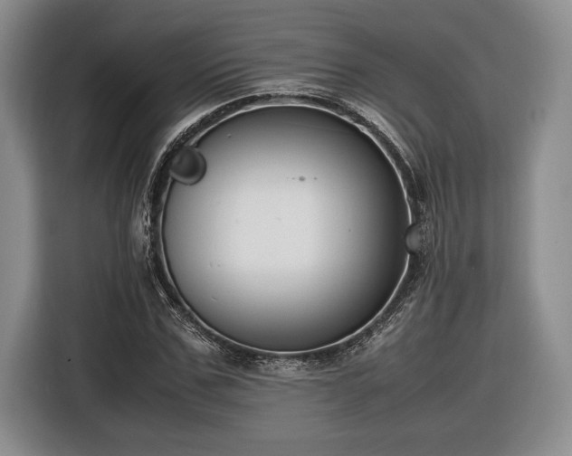 X0000116560971200912171406