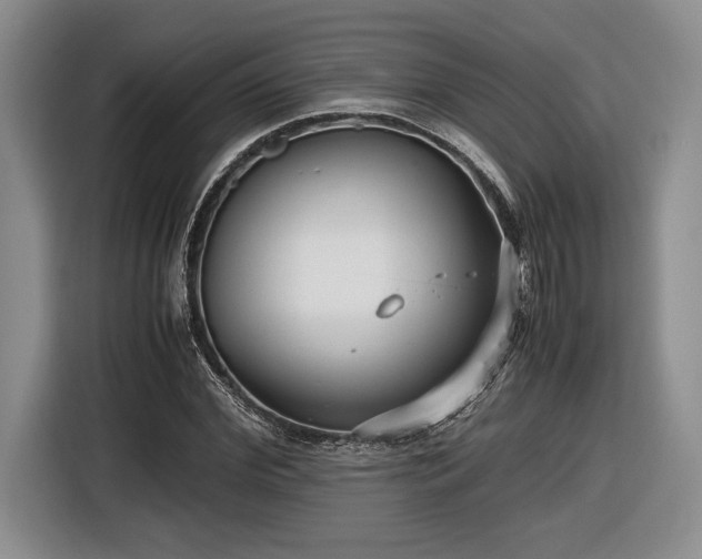 X0000116560972200912171406