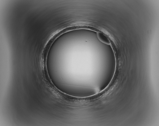 X0000116560973200912171406