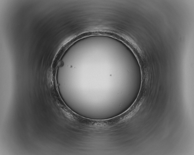 X0000116560974200912171406