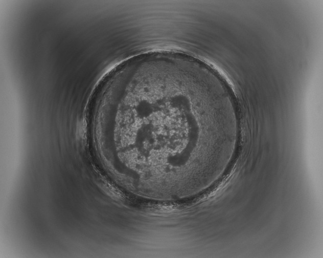 X0000116560975200912171406