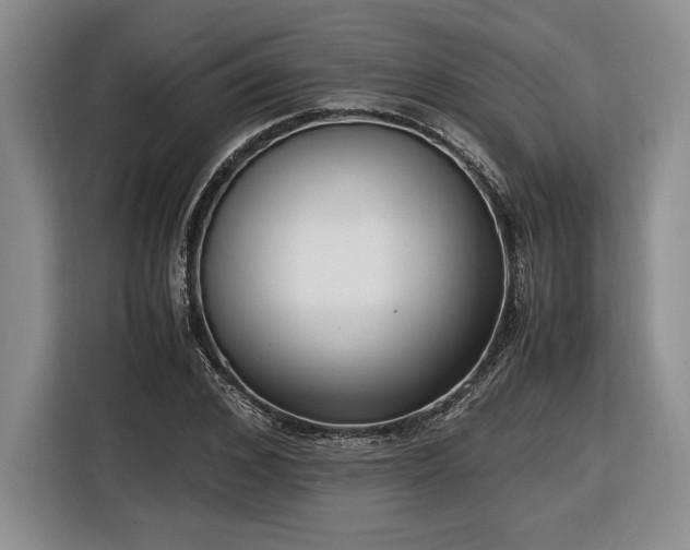 X0000116560976200912171406