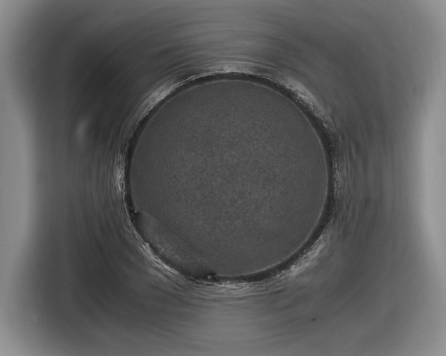 X0000116560977200912171406