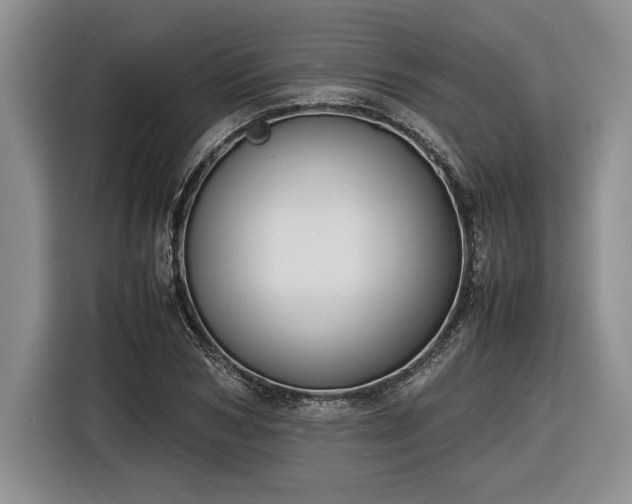 X0000116560978200912171406