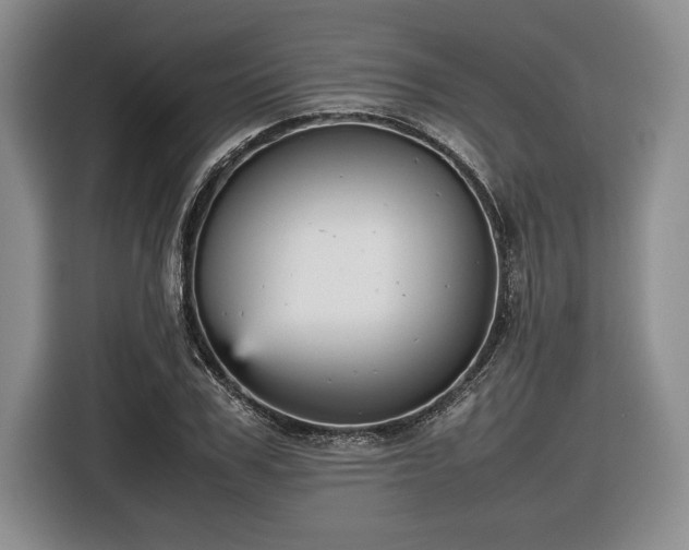 X0000116560979200912171406