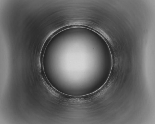 X0000116560980200912171406