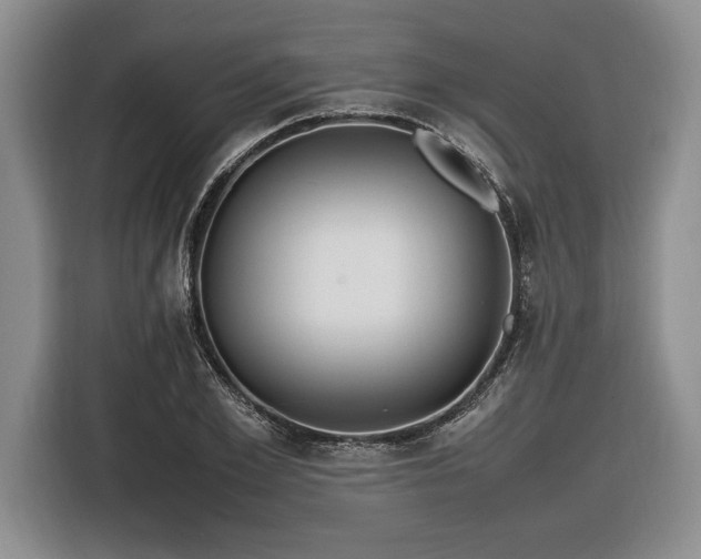 X0000116560981200912171406