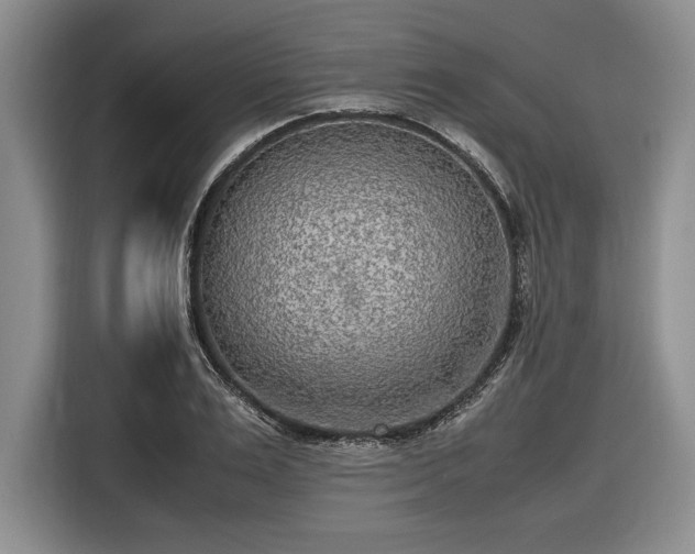 X0000116560983200912171406