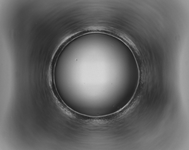 X0000116560984200912171406