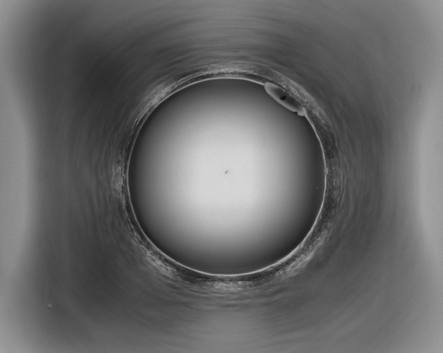 X0000116560985200912171406