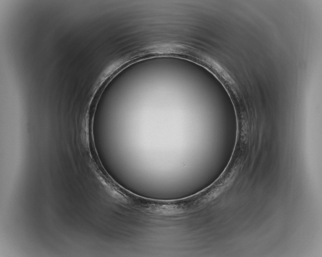 X0000116560986200912171406