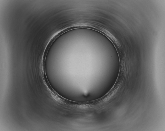 X0000116560988200912171406