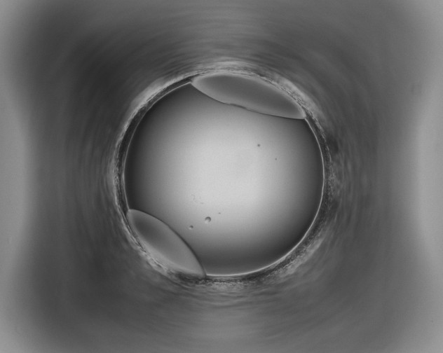 X0000116560989200912171406