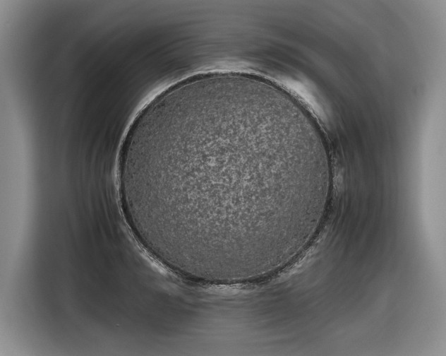 X0000116560990200912171406