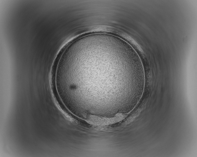 X0000116560991200912171406