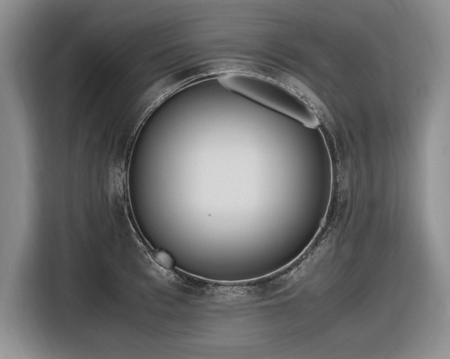 X0000116560993200912171406